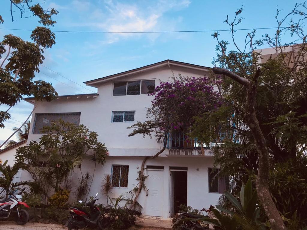 New Moringa Apartment ลาสแตร์เรนาส ภายนอก รูปภาพ