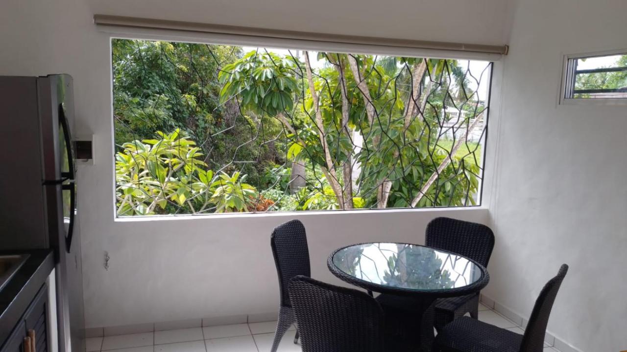 New Moringa Apartment ลาสแตร์เรนาส ภายนอก รูปภาพ