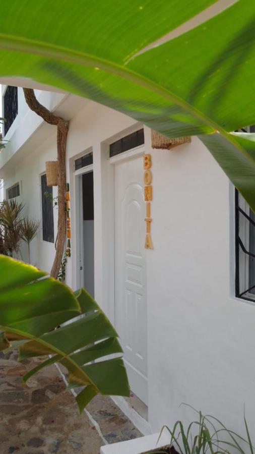 New Moringa Apartment ลาสแตร์เรนาส ภายนอก รูปภาพ