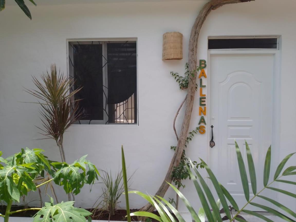 New Moringa Apartment ลาสแตร์เรนาส ภายนอก รูปภาพ