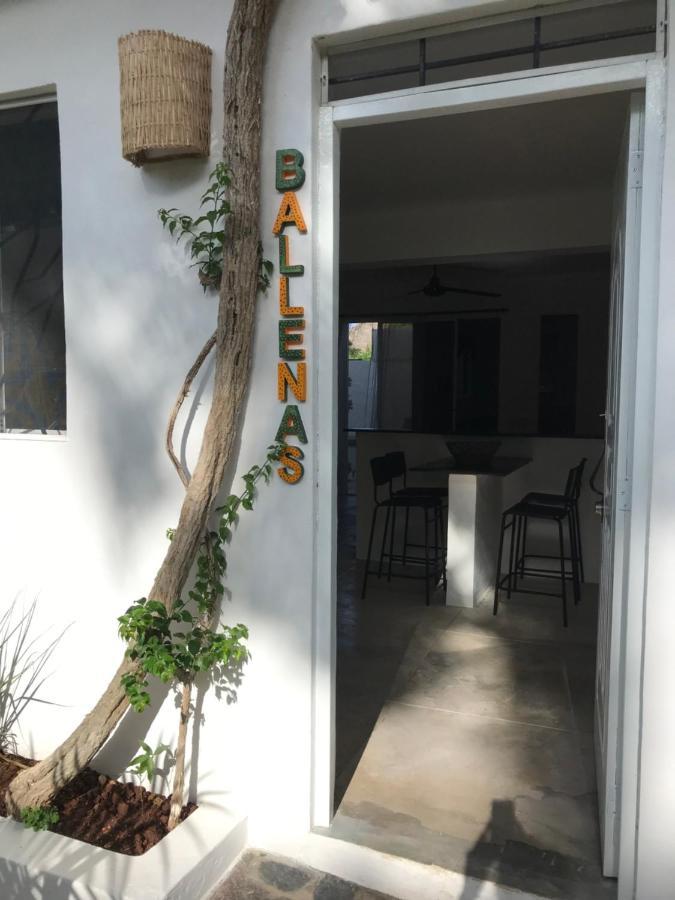 New Moringa Apartment ลาสแตร์เรนาส ภายนอก รูปภาพ
