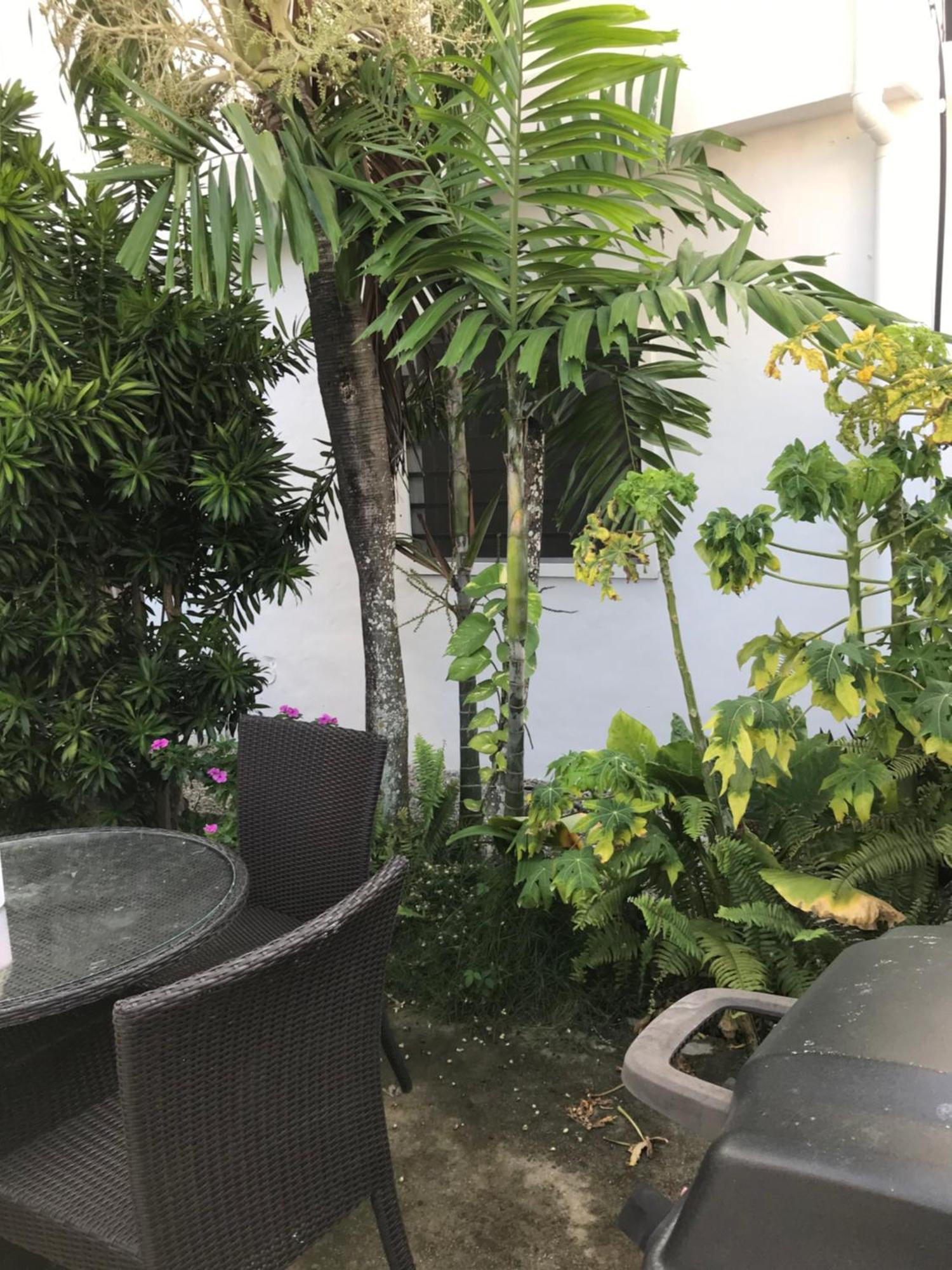 New Moringa Apartment ลาสแตร์เรนาส ภายนอก รูปภาพ